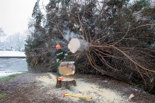 19.11.2022 Christbaum für die Kremser Feuerwehr